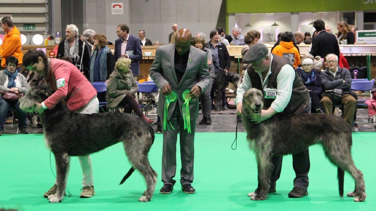 IMG_4716 CC & r-CC crufts 2018