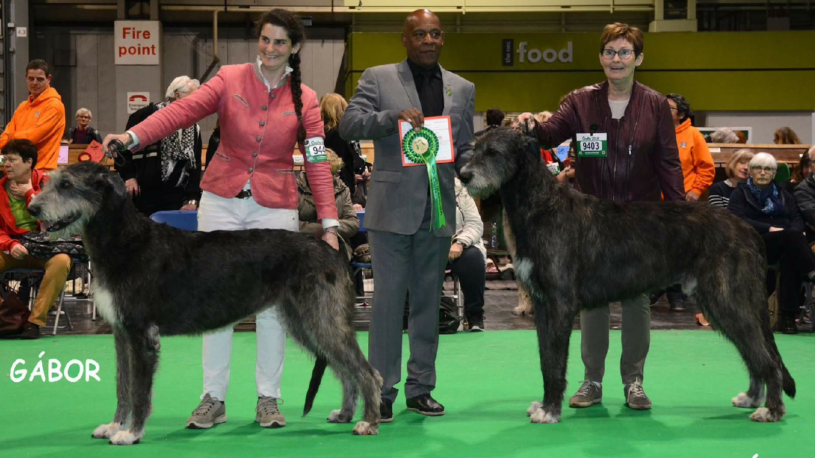 IMG_4734 bob bos crufts 2018