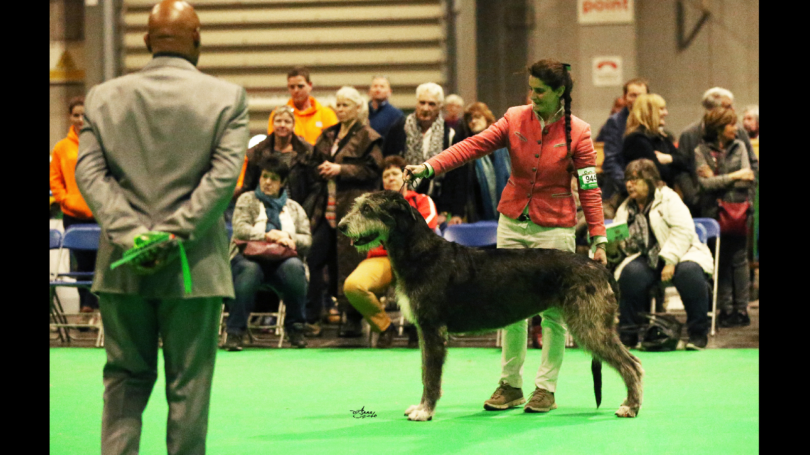 miranda crufts 2018