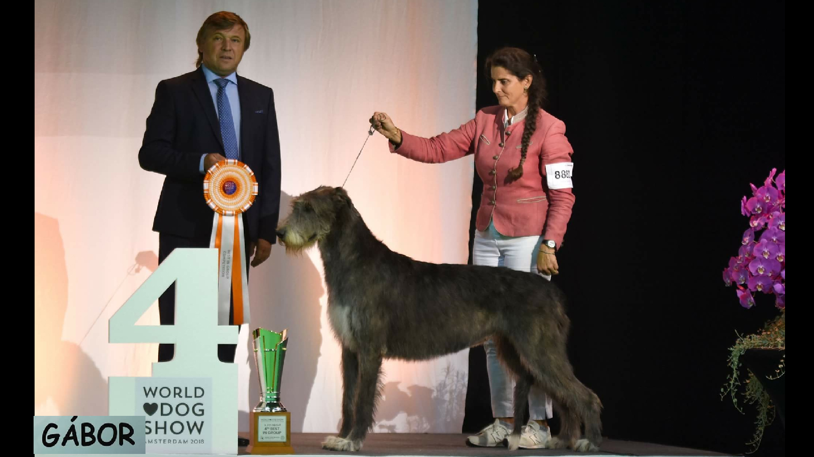 WDS 2018 AMSTERDAM Karishma della bassa Pavese BOB , CORMACS TARIQ BOS,judge Kuplyauskas Eugeny (Russia) 3