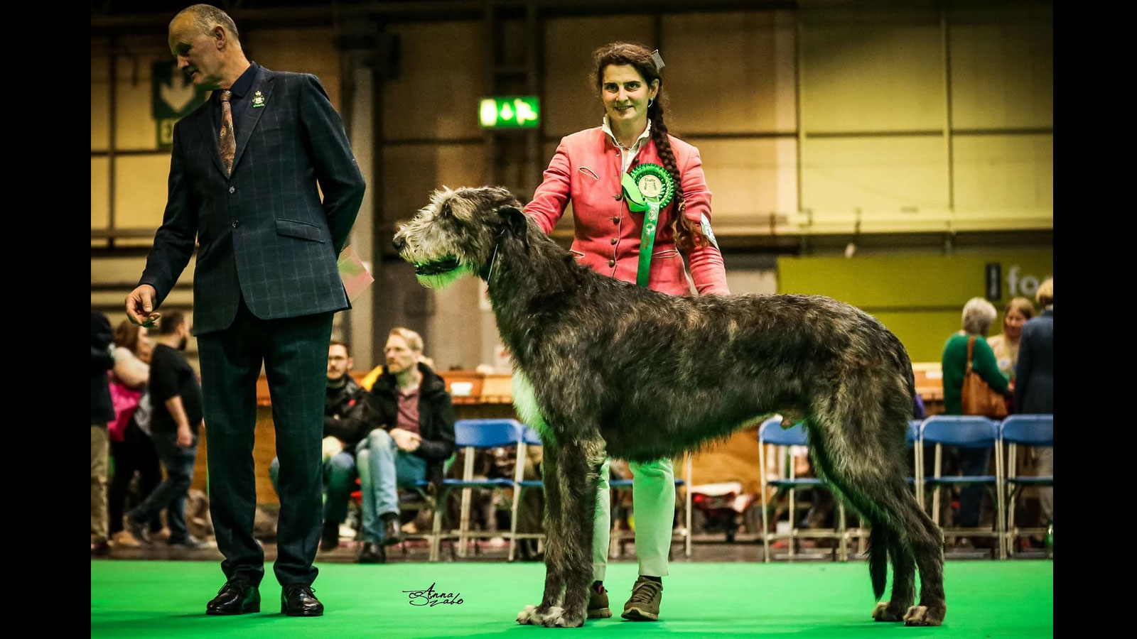 Pendragon dBP – BOB BOG3 at Crufts 2019