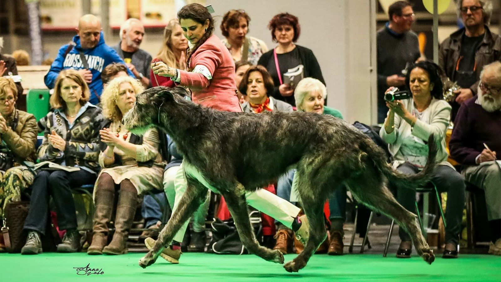 Pendrangon-della-Bassa-Pavese-Best-of-Bread-Crufts-2019